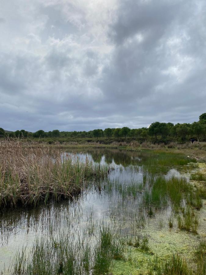 Herdade De Alagaes Мертола Екстер'єр фото